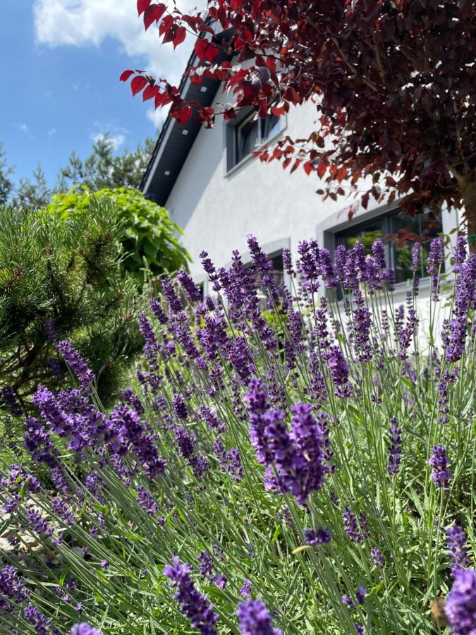 Hortus Apartament Z Klimatyzacja Boleslawiec  Εξωτερικό φωτογραφία