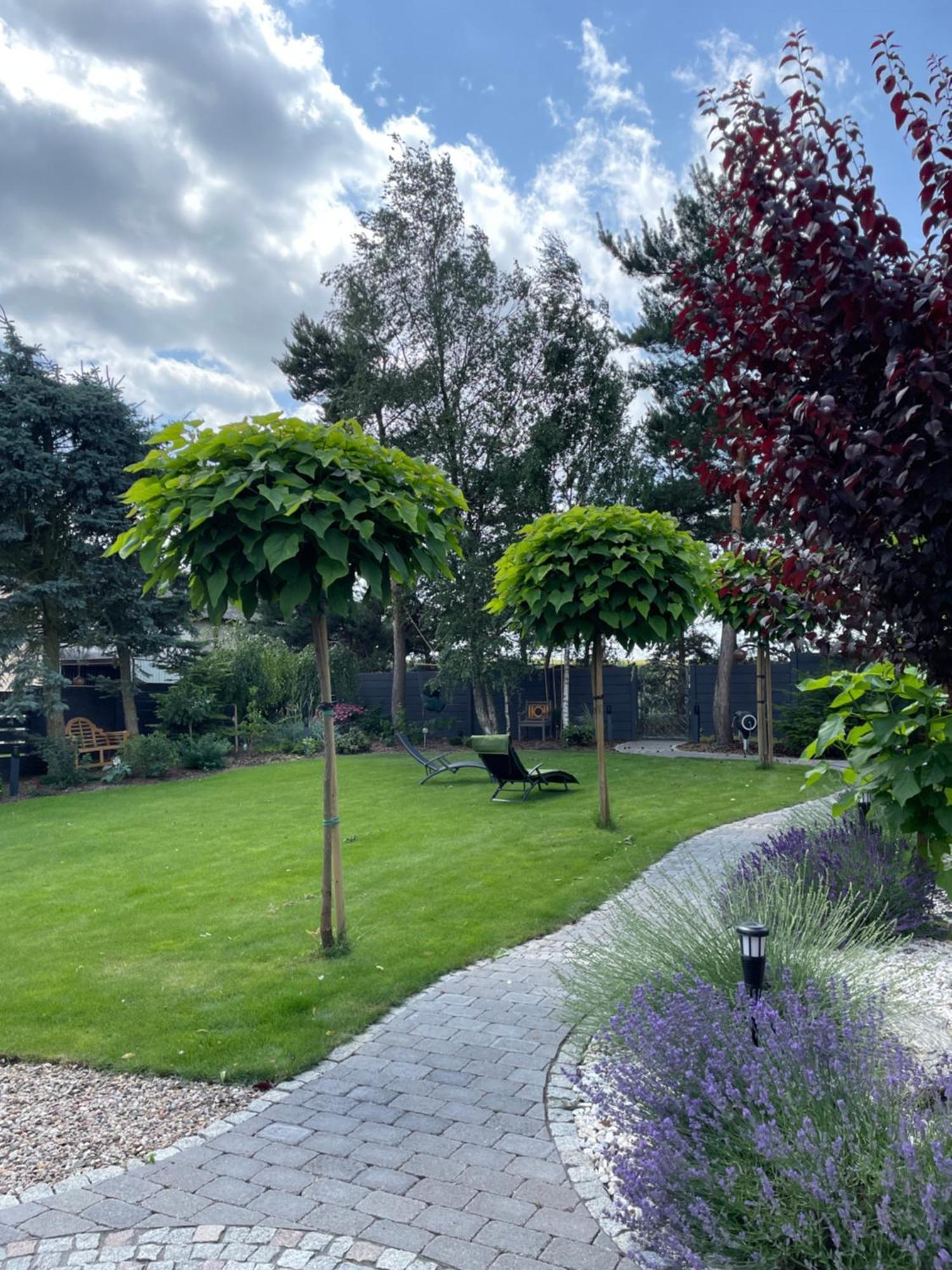 Hortus Apartament Z Klimatyzacja Boleslawiec  Εξωτερικό φωτογραφία